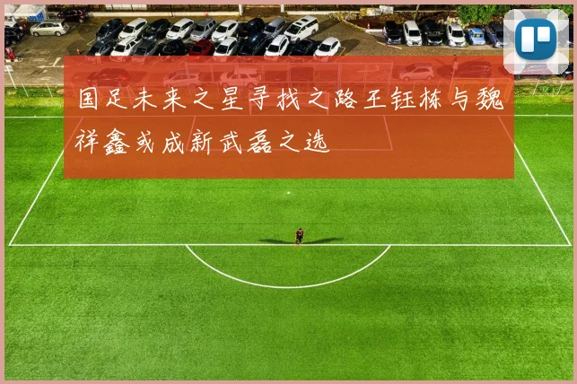 国足未来之星寻找之路王钰栋与魏祥鑫或成新武磊之选